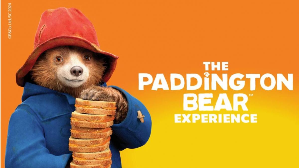 The paddington bear experience